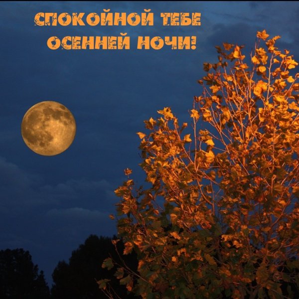 Спокойной о енней ночи