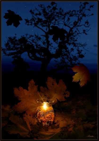 Доброй осенней ночи