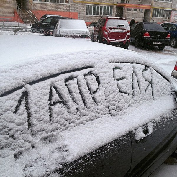 С первым снегом картинки прикольные