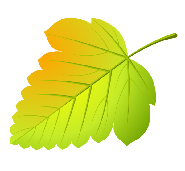 Осенние листья