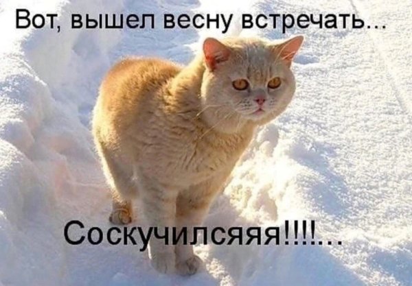 Весна скоро придет