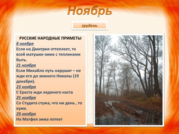 Народные приметы ноября
