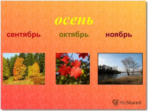 Сентябрь октябрь ноябрь осенние месяцы