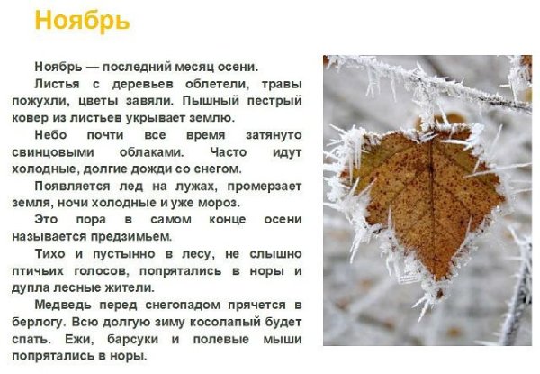 Рассказ про ноябрь