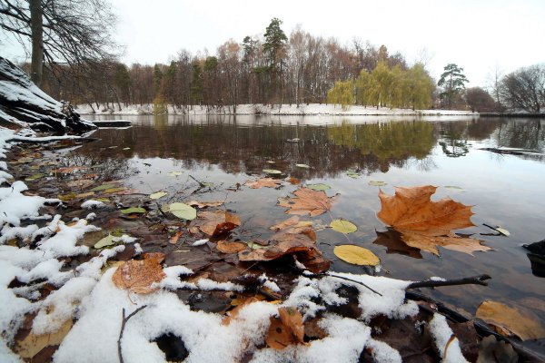 Ноябрь фото