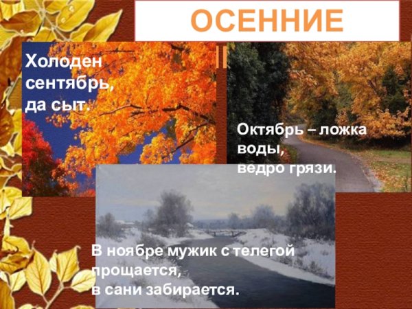 Сентябрь октябрь ноябрь осенние месяцы