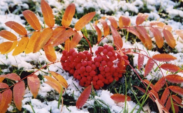 Ноябрь природа