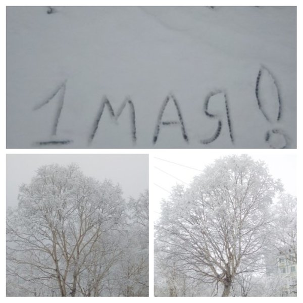 Май снег прикол