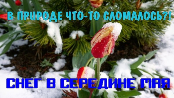 Открытки снег в мае