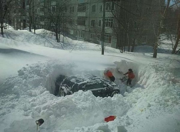 Снегопад смешно