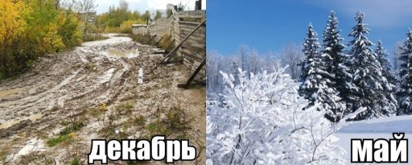 Приколы про декабрь