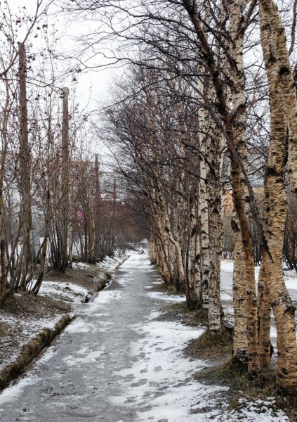 Первоапрельский снег