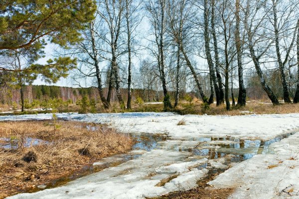 Самый последний снег апрельский