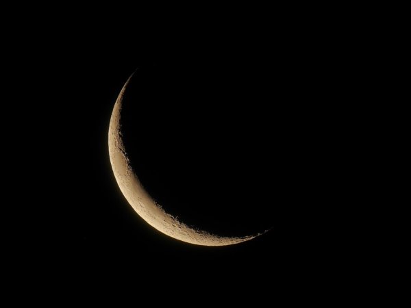 Молодая Луна