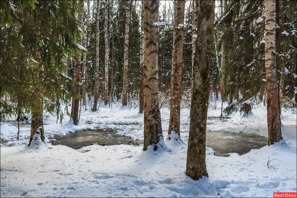 Апрельский снег
