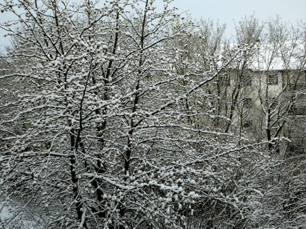 Снег весной