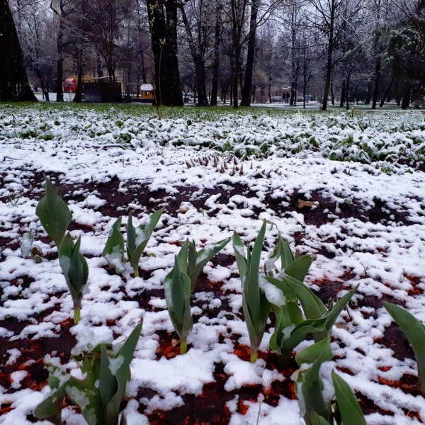 Апрельский снег