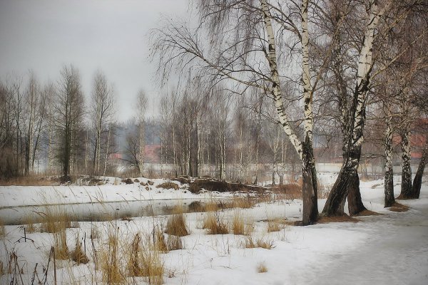 Поздняя Весна пейзаж