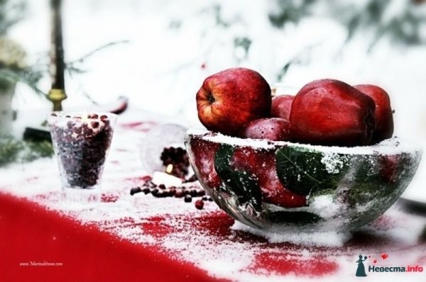 Натюрморт на снегу