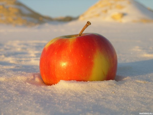 Фрукты в снегу