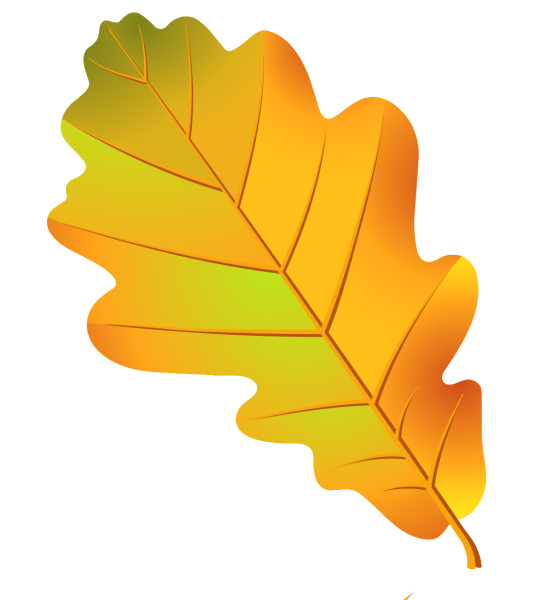 Осенние листочки