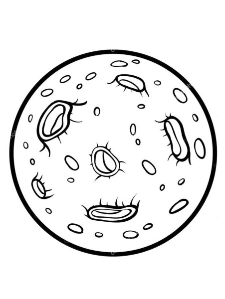 Луна раскраска для детей