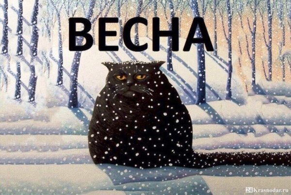 Снова зима пришла