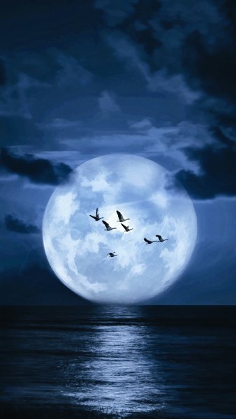 Загадочная Луна