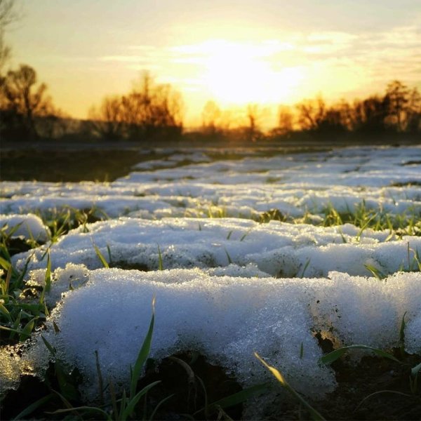 Весна солнце