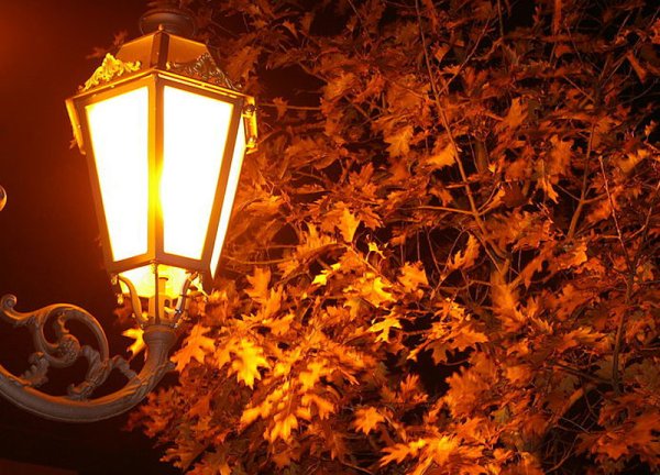 Осень вечер