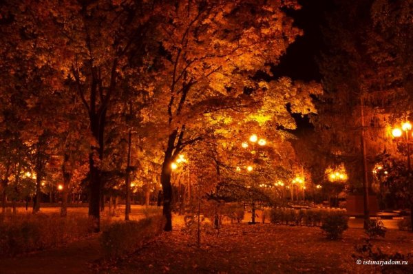 Вечерняя осень