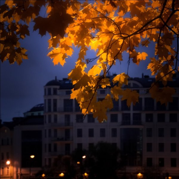 Осенний вечер