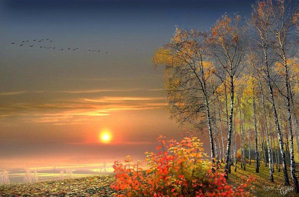 Осенний пейзаж Восход