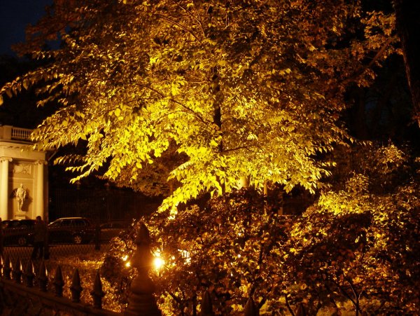 Осенний вечер в Петербурге