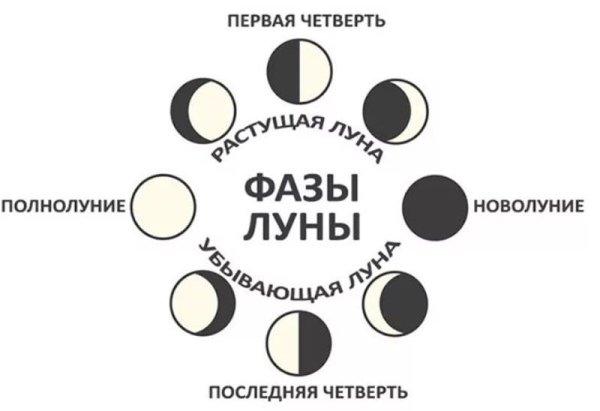 Фазы Луны схема фаз
