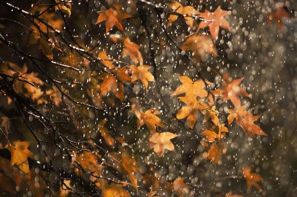 Сильный дождь осень