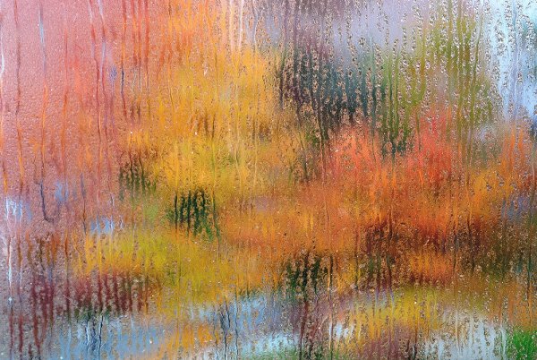 Фон осень дождь