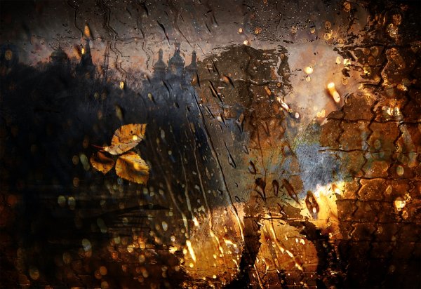 Футаж осень дождь