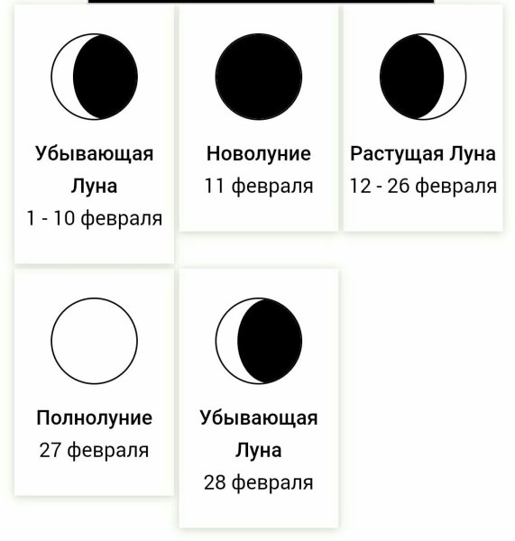 Четыре фазы Луны