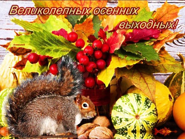 Хороших осннн х выходных