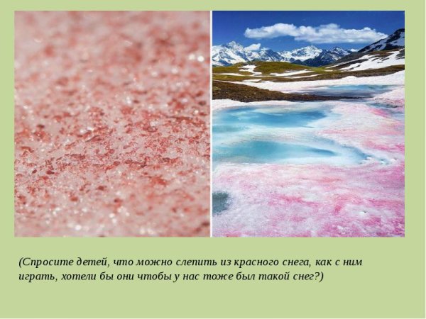 Н Сладков красный снег