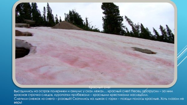 Николай Сладков красный снег