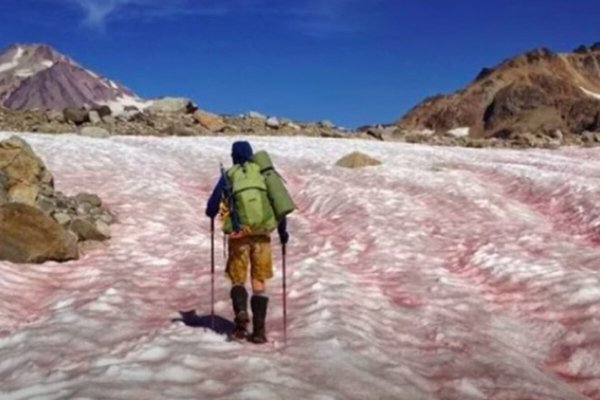 Сьерра Невада розовый снег
