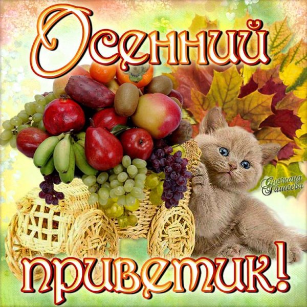 Открытки осенний приветик