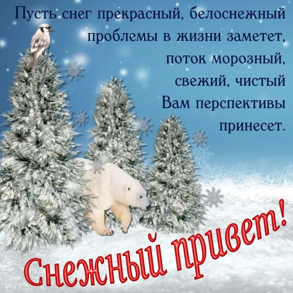 Снежной зимы пожелания