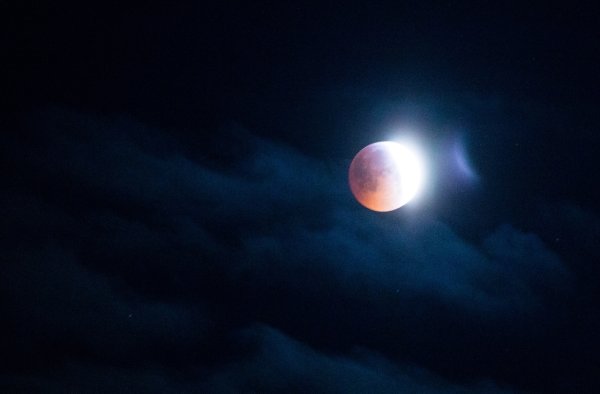 Лунное затмение 19.11