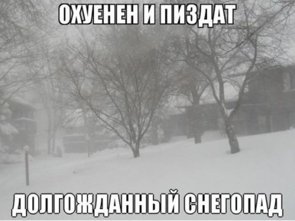Снегопад смешно