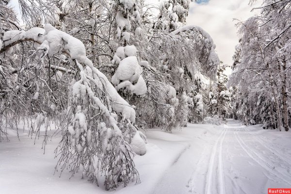Зима снегопад