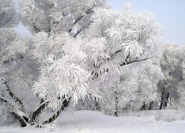 Белоснежная зима