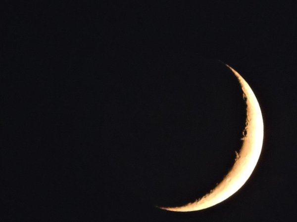 Молодая Луна